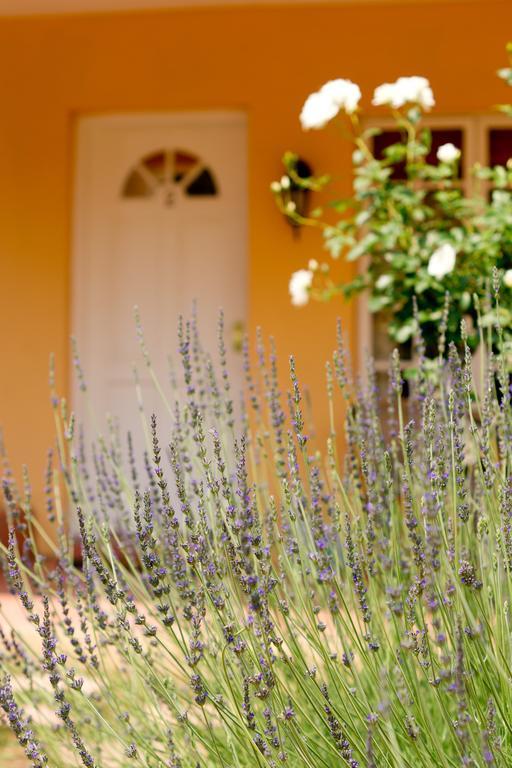 Little Tuscany Boutique Hotel Johannesburg Luaran gambar